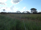 GO_50_F3_pan