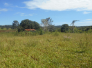 GO_510_F3_pan