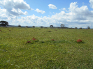 GO_511_F3_pan