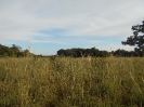 GO_53_F3_pan