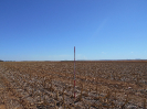 GO_544_F3_pan