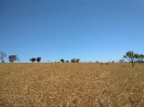 GO_556_F5_4