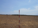 GO_557_F3_pan