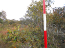 GO_560_F3_pan
