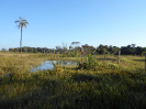 GO_568_F3_pan