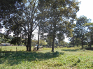 GO_572_F3_pan