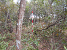 GO_574_F3_pan