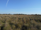 GO_596_F3_pan