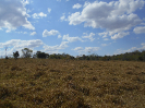 GO_617_F3_pan