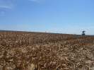 GO_629_F3_pan