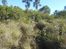 GO_649_F3_pan