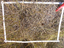 GO_649_F9_3_2