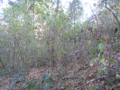 GO_653_F3_pan