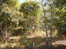 GO_655_F3_pan
