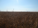 GO_657_F5_2