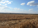 GO_661_F3_pan