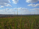GO_685_F3_pan
