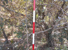 GO_709_F3_pan