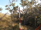 GO_710_F3_pan