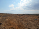 GO_712_F3_pan