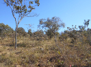 GO_713_F3_pan