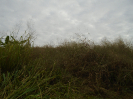 GO_726_F3_pan