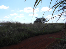 GO_729_F3_pan