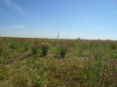 GO_731_F3_pan