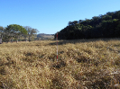 GO_736_F3_pan