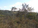 GO_741_F3_pan