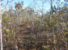 GO_749_F3_pan