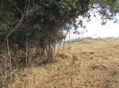 GO_750_F3_pan
