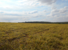 GO_751_F3_pan