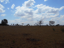 GO_754_F3_pan