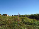 GO_763_F3_pan