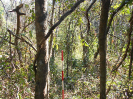 GO_768_F3_pan