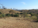 GO_769_F3_pan
