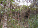 GO_771_F3_pan