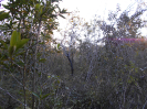 GO_771_F5_4