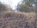 GO_802_F3_pan