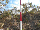 GO_804_F3_pan