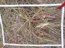 GO_814_1_5b