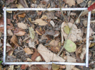 GO_814_2_11c
