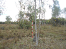 GO_814_F3_pan