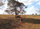 GO_815_F3_pan