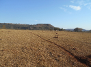GO_820_F3_pan