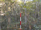 GO_823_F3_pan