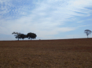 GO_830_F3_pan