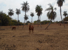 GO_843_F3_pan
