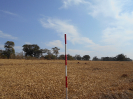 GO_848_F3_pan